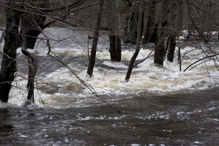 Pawtuxet River 11 ft above flood stage 3/31/10
